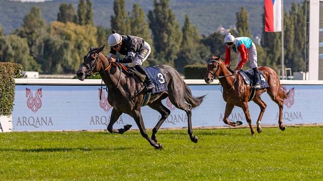 Z 86. Arqana Gershova memoriálu: V cíli s číslem 3 vítězný Václav Janášek s Salt mix a druhý s č. 4 žokej Petr Foret s Hidden Colony.