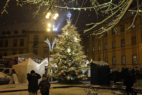Rozsvícení vánočního stromu na Mariánském náměstí.