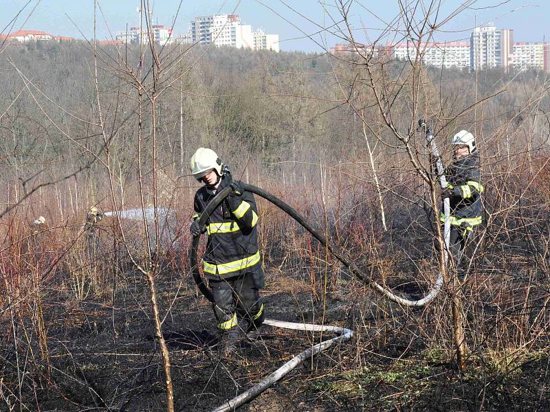 Jedním z mnoha požárů porostu, které pražští hasiči likvidují v nynějších teplých a suchých dnech, byl oheň v travnatém a křovinatém porostu na okraji sídliště na Jižním Městě. Ve čtvrtek 13. března 2014 odpoledne zachvátil plochu odhadem 250×250 metrů.