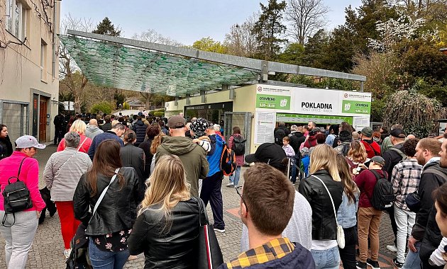 Den v Zoo Praha: Poradíme, jak si užít návštěvu bez davů a co nevynechat