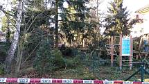 Spadlý strom v Klánovicích zranil dvě děti.