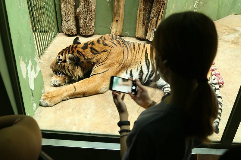 Z oslav a křtu knihy k 90ti letům Zoo Praha.