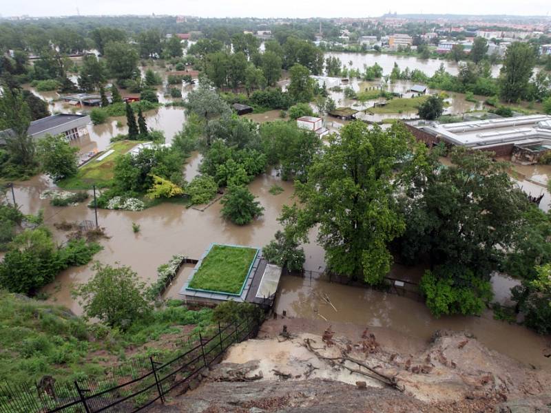 Povodně v Praze – Troji u Pražské zoo v pondělí 3. června. 