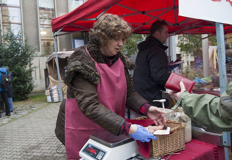 Letenská husa v Národním zemědělském muzeu.