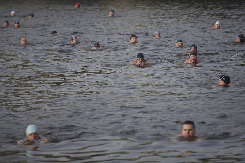 285 otužilců z Česka i zahraničí plavalo ve vltavských vodách v 67. ročníku vánočního Memoriálu Alfreda Nikodéma