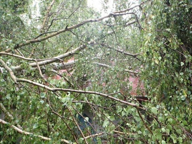 Noční bouřky doprovázené silným deštěm, větrem i hromy a blesky se výrazně podílely na zvýšení počtu výjezdů středočeských hasičů v prvních sedmi hodinách středy 8. června 2015.