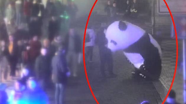 Tunisan v centru Prahy oblékl bezdomovce do kostýmu obří pandy. Oba tak porušili vyhlášku o buskingu.
