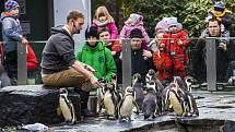 Štědrý den v pražské zoologické zahradě.