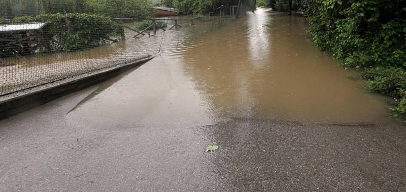 Povodně v Praze – Troji u Pražské zoo v pondělí 3. června. 