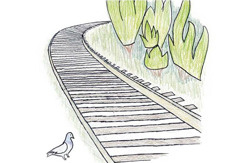 O zachráněném holoubkovi. Jedna z ilustrací Janise Mahbouliho v knize Pohádky z nádraží.