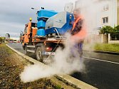 Pražský dopravní podnik (DPP) bude plevel likvidovat pouze ekologicky - místo chemických přípravků použije páru.