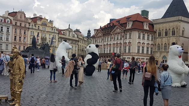 Pražský magistrát chce bojovat proti vizuálním smogu i takzvanému buskingu, tedy pouličnímu umění.