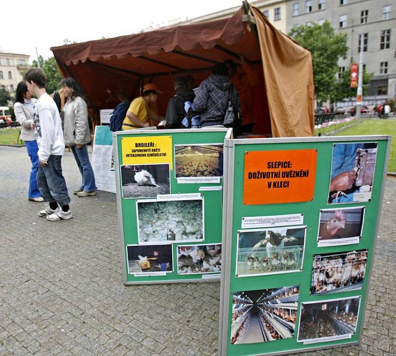 EKOFESTIVAL. Na dvacet ekologických sdružení se představilo na náměstí Míru.