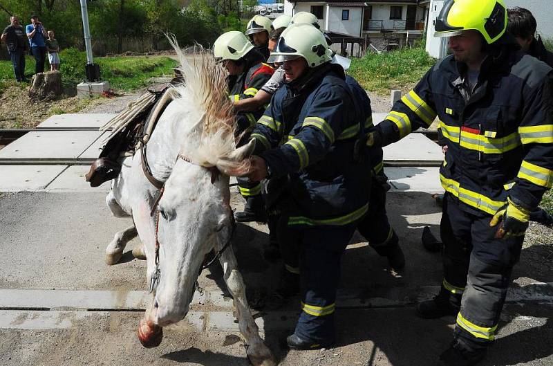 Kůň uvízl v tělese železniční trati na Rudnou.