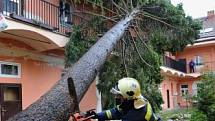 Na samém sklonku března, 31. 3., byli hasiči dokonce voláni na Vyšehradě do ulice V Pevnosti k záchraně veverek ze stromu.