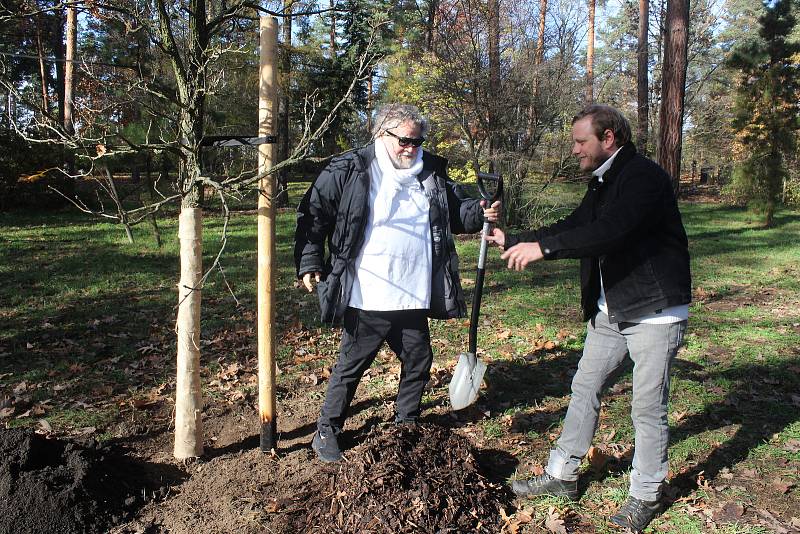 Fotograf Antonín Kratochvíl v botanické zahradě vysadil strom v rámci projektu Kořeny osobností.