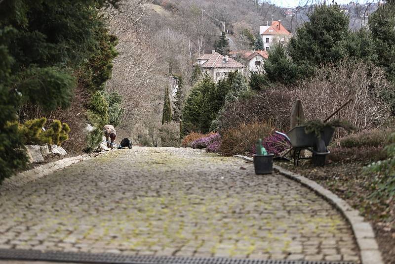 V pražské botanické zahradě.