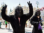 Letošní ročník Běhu pro gorily odstartuje z Hradčanského náměstí v Praze, kde bude zároveň i cíl závodu.