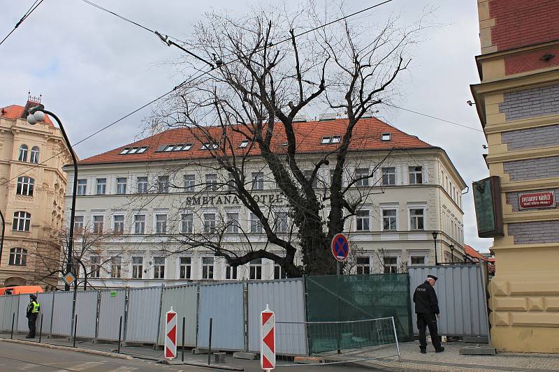 Anenský trojúhelník. Vzrostlý javor, který chce městská část Praha 1 pokácet, hlídá policie.