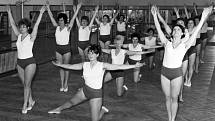 Cvičení – Sokolové cvičili ve Střešovicích již od roku 1885. Po komunistickém převratu však byla jejich tělocvična předána tělovýchovné jednotě Tatran Střešovice. Ta v roce 1969 secvičovala pohybovou průpravu na IV. celostátní Spartakiádu.