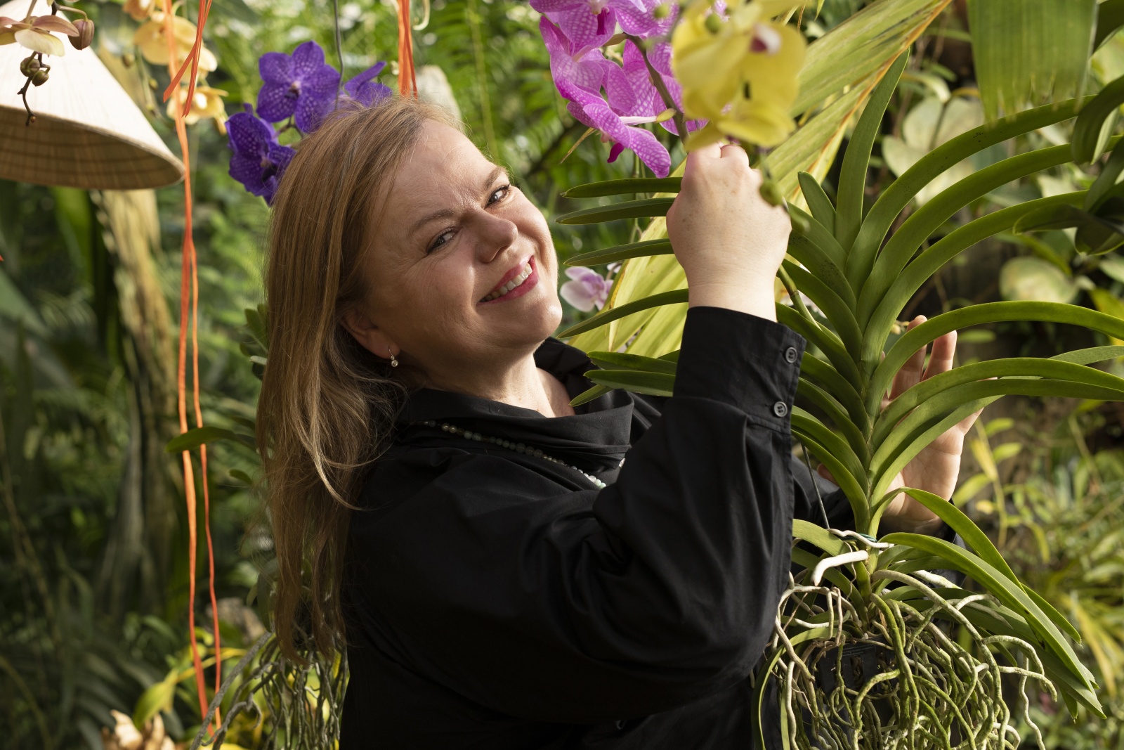 Botanická zahrada Praha zahájila výstavu orchidejí ve skleníku Fata Morgana  - Pražský deník