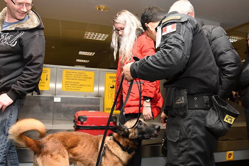 Výsledky práce při výcviku služebních psů určených pro Peru a Ruskou federaci představila ve čtvrtek na Letišti Václava Havla Praha Celní správa České republiky.