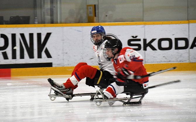 Česká para hokejová reprezentace podlehla na MS Kanadě. Ilustrační snímek