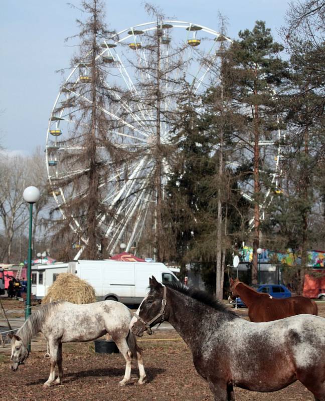 Přípravy na Matějskou pouť, která se v roce 2015 uskuteční na Výstavišti v Holešovicích od 28. února do 19. dubna.