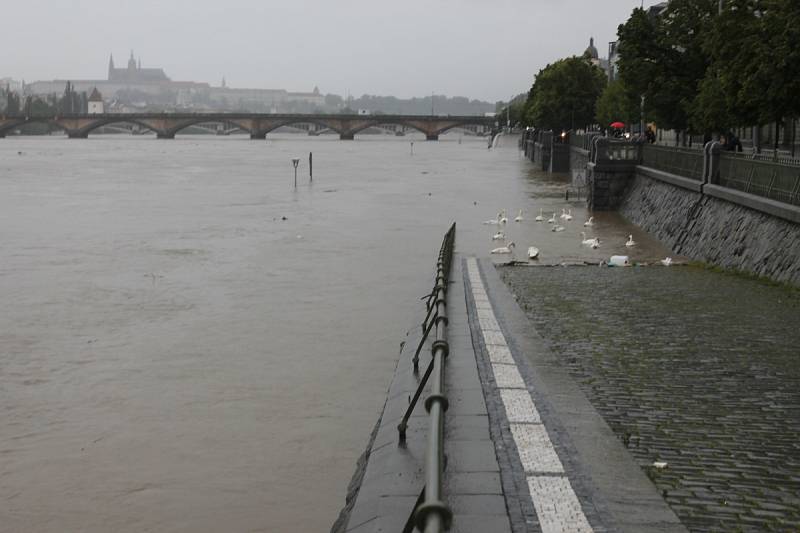 Vltava u železničního mostu v pondělí 3. června v 7 hodin ráno.