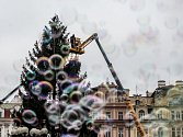 Zdobení vánočního stromu na Staroměstském náměstí.
