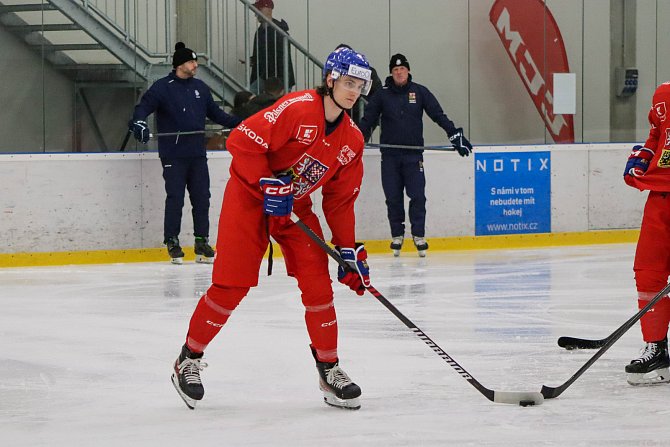 Česká hokejová reprezentace se před přípravnými zápasy v Karlových Varech sešla na ledě v Říčanech. Jakub Sirota