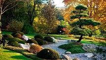 Japonská zahrada na podzim.