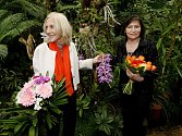 Zpěvačka Marta Kubišová a architektka Eva Jiřičná vysadily v pátek 18. března 2011 v pražském skleníku Fata Morgana dvě exotické orchideje v rámci projektu Kořeny osobností.