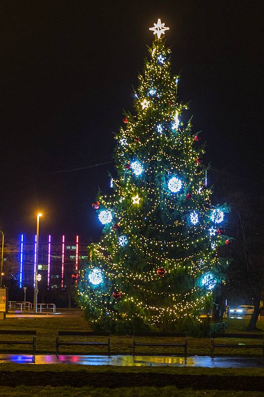 Vánoční strom - Vítězné náměstí v Praze.