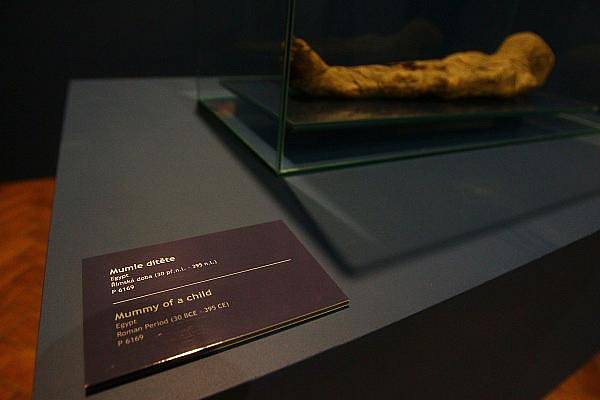 Náprstkovo muzeum vystavuje egyptské mumie.
