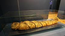 V Náprstkově muzeu 4. května začala výstava egyptských mumií.