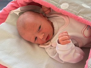 První pražské dítě v novém roce se narodilo dvě minuty po půlnoci v porodnici Nemocnice Na Bulovce. Děvče Ema váží 2650 gramů a měří 46 centimetrů.