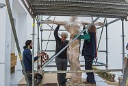 Sochař Petr Váňa navrhnul a 8. dubna 2022 nainstaloval plastiku Ježíše Krista v kostele Krista Spasitele na Barrandově.