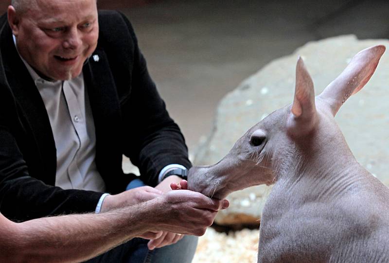 V Zoo Praha se uskutečnila jubilejní slavnost k 85.výročí otevření.