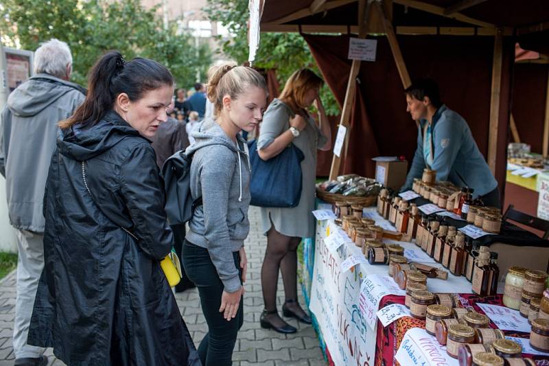 Farmářské slavnosti pro rodiny s dětmi v prostorách Národního zemědělského muzea v Praze na Letné.