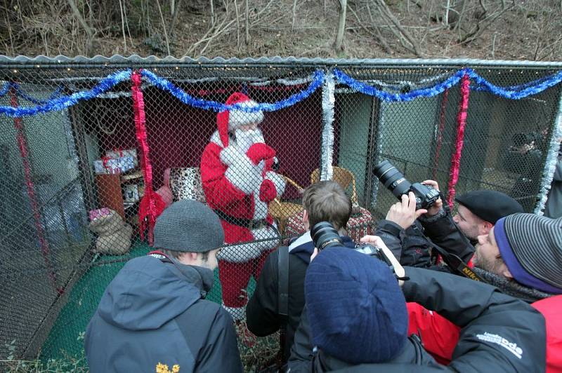 Santa Claus v Zoo Praha