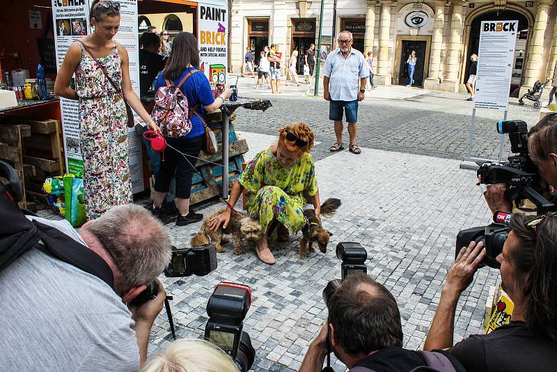 Akce Cihla, která podporuje zapojení lidí s mentálním postižením do běžného života.