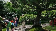 JAPONSKÉ ZÁTIŠÍ. Oceňovaná část botanické zahrady je dílem Kamily Skálové. 