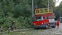 Spadlý strom zastavil tramvaje v Chotkově ulici.