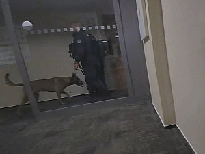 Dobrá práce policejního psa Rufuse v hotelu v Praze 9.