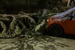 V Praze Hostivaři spadl strom na zaparkované auto.