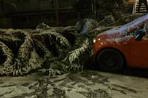V Hostivaři spadl strom na zaparkované auto.