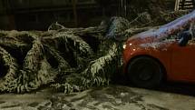 V Hostivaři spadl strom na zaparkované auto.