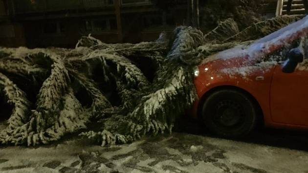 V Praze Hostivaři spadl strom na zaparkované auto.