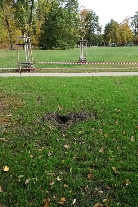 Pražský park Stromovka trpí. Vandalové ničí vybavení i zeleň